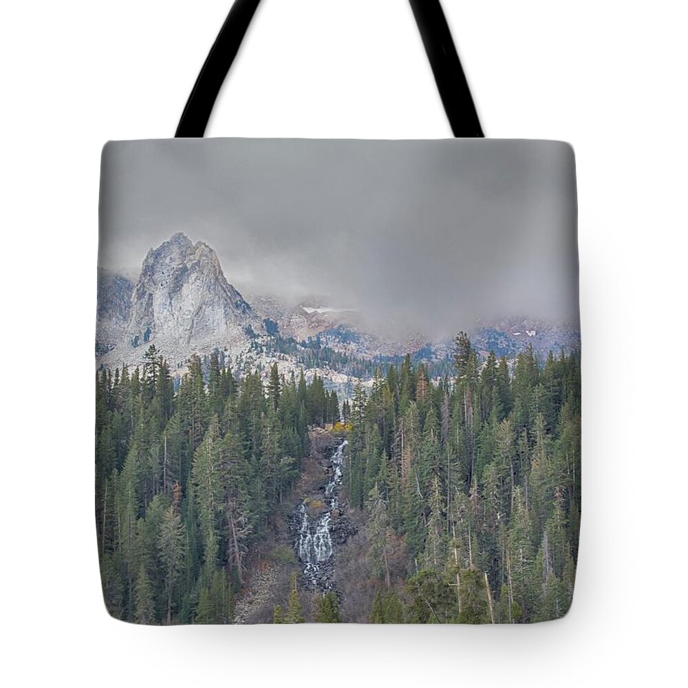 Fall Tote Bag featuring the photograph Winter Fall by Patricia Dennis