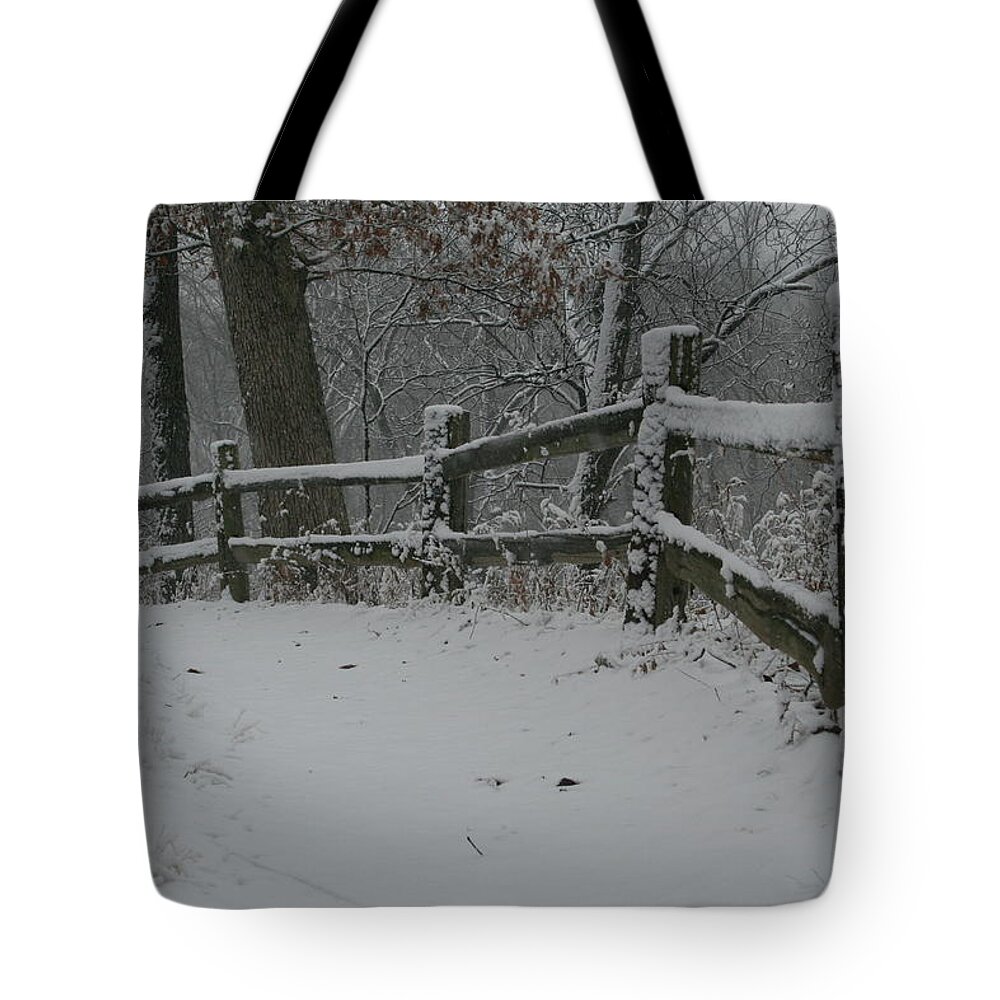 Winter Fence Trail Tote Bag featuring the photograph Winter Fence Trail H by Dylan Punke