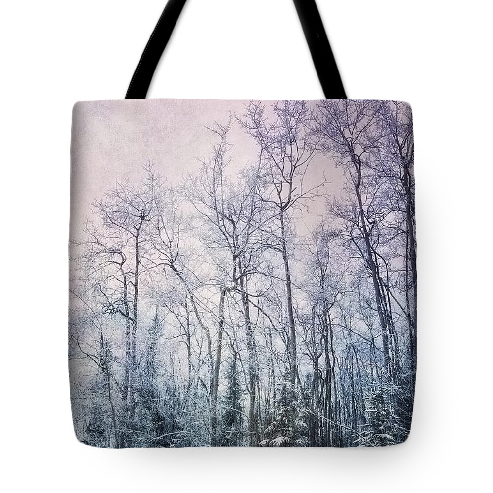 Forest Tote Bag featuring the photograph Winter Forest by Priska Wettstein