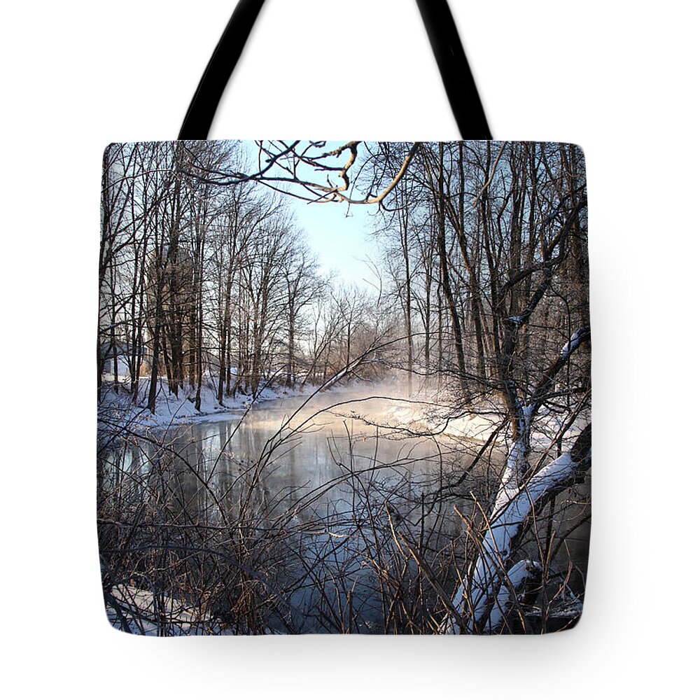 Snow Tote Bag featuring the photograph Winter Frost by Robert Och