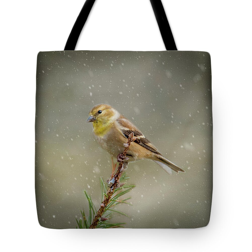 Winter Tote Bag featuring the photograph Winter Goldfinch by Cathy Kovarik