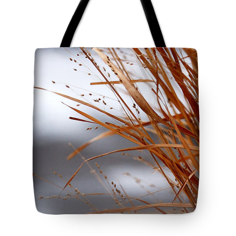 Grass Tote Bag featuring the photograph Winter Grass - 2 by Linda Shafer