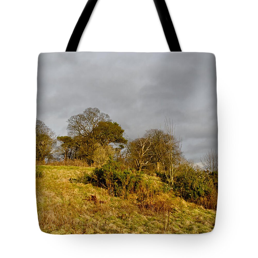 Grass Tote Bag featuring the photograph Winter grass on the hill. by Elena Perelman