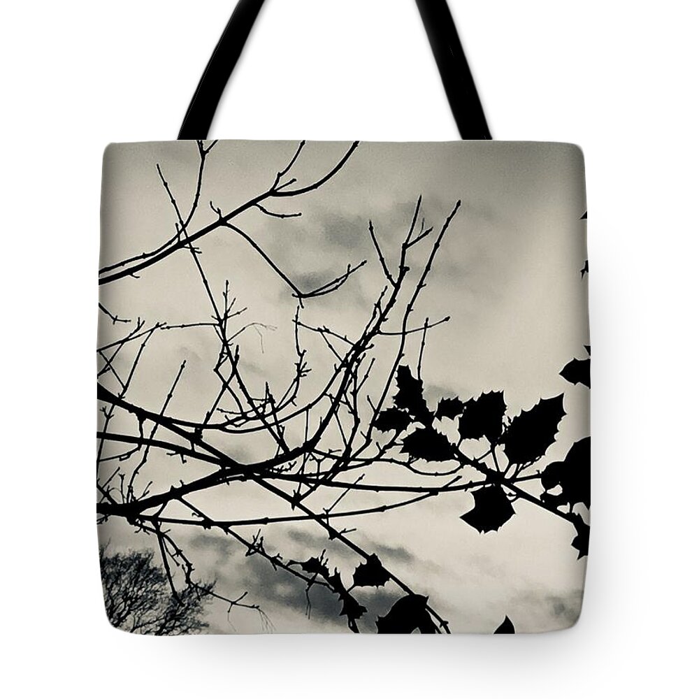Silver Tote Bag featuring the photograph Winter holly tree silvertone by Itsonlythemoon -