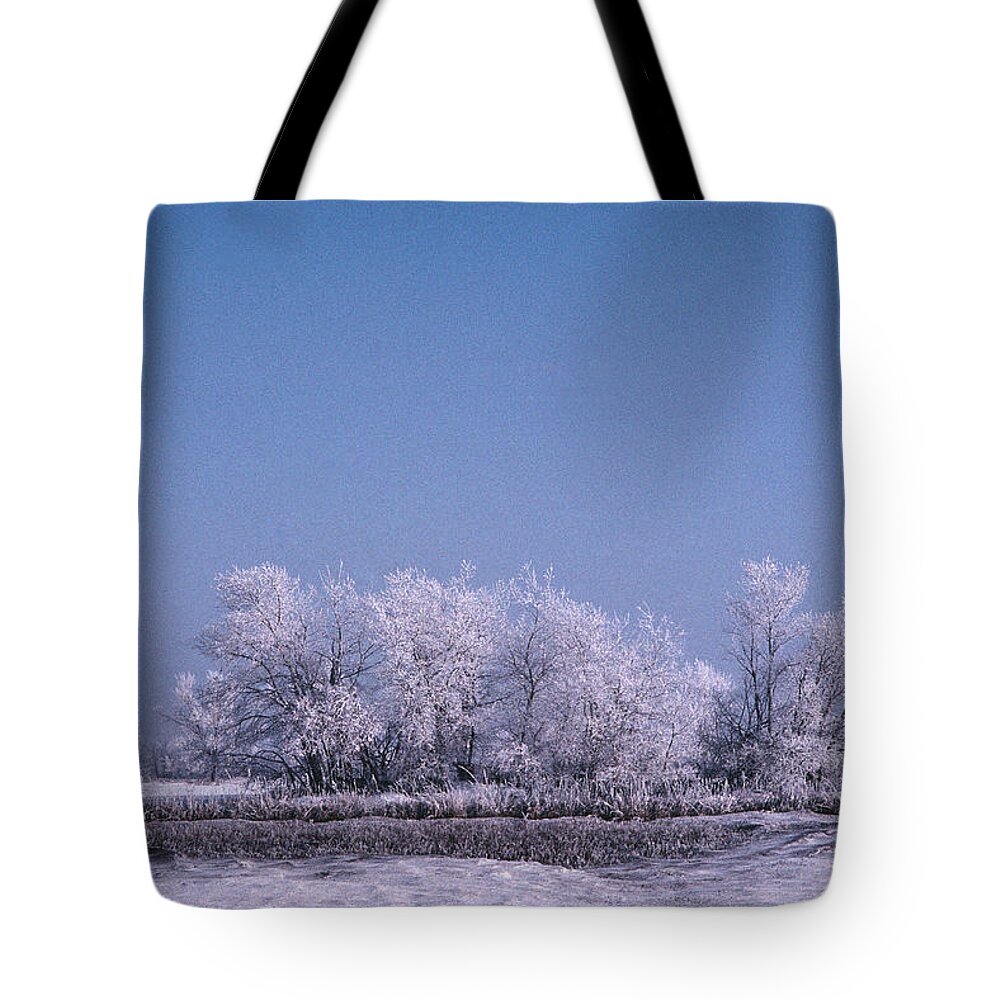 Frozen Trees Winter North Dakota Tote Bag featuring the photograph Winter Ice Tree by William Kimble