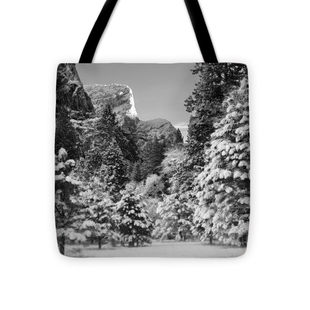 Tree Tote Bag featuring the photograph Winter in Yosemite Valley by Lawrence Knutsson