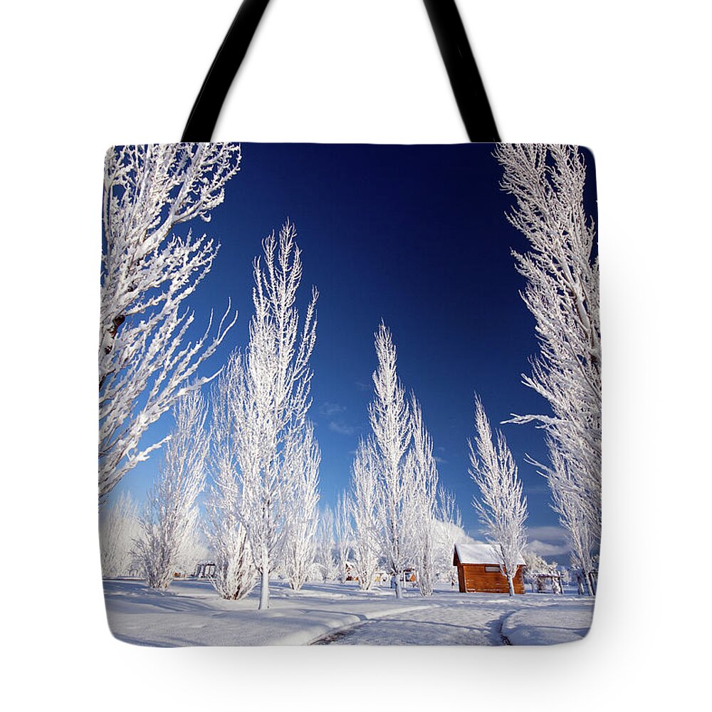 Winter Tote Bag featuring the photograph Winter Landscape by Wesley Aston