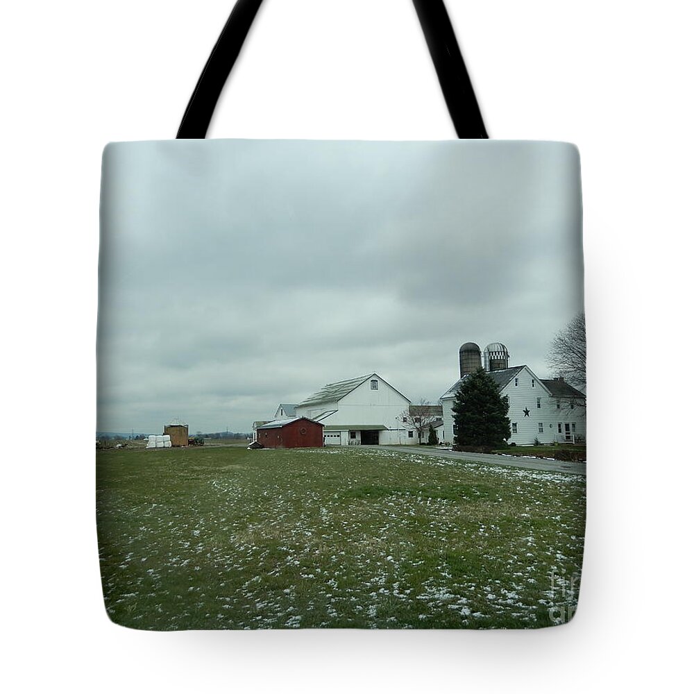 Amish Tote Bag featuring the photograph Winter Letting Go by Christine Clark