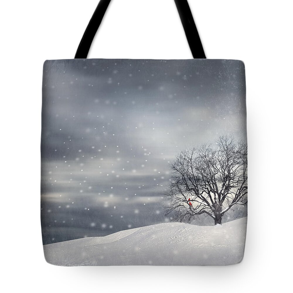 Four Seasons Tote Bag featuring the photograph Winter by Lourry Legarde