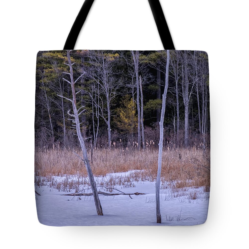 Spofford Lake New Hampshire Tote Bag featuring the photograph Winter Marsh And Trees by Tom Singleton