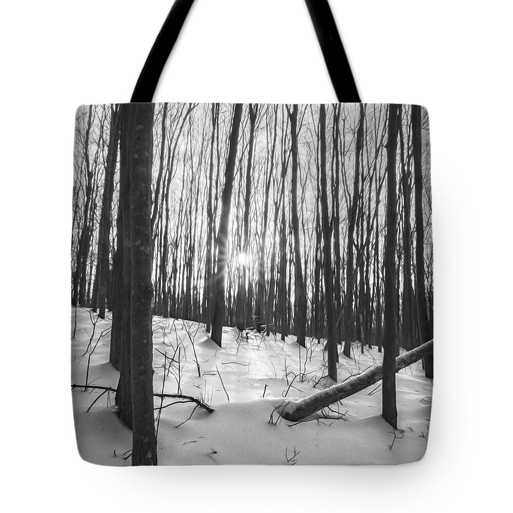Winter Tote Bag featuring the photograph Winter Morning Dream by Angelo Marcialis