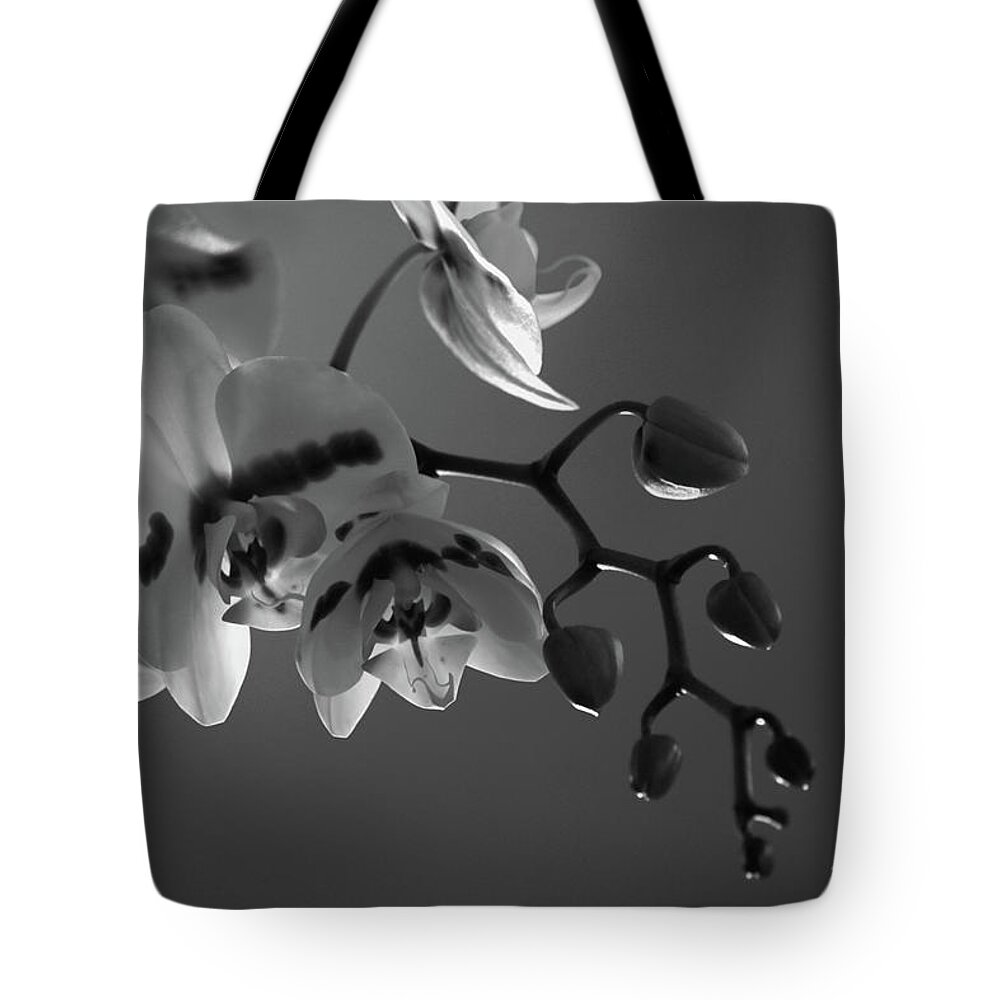 Winter Tote Bag featuring the photograph Winter Orchids by Jeanette C Landstrom