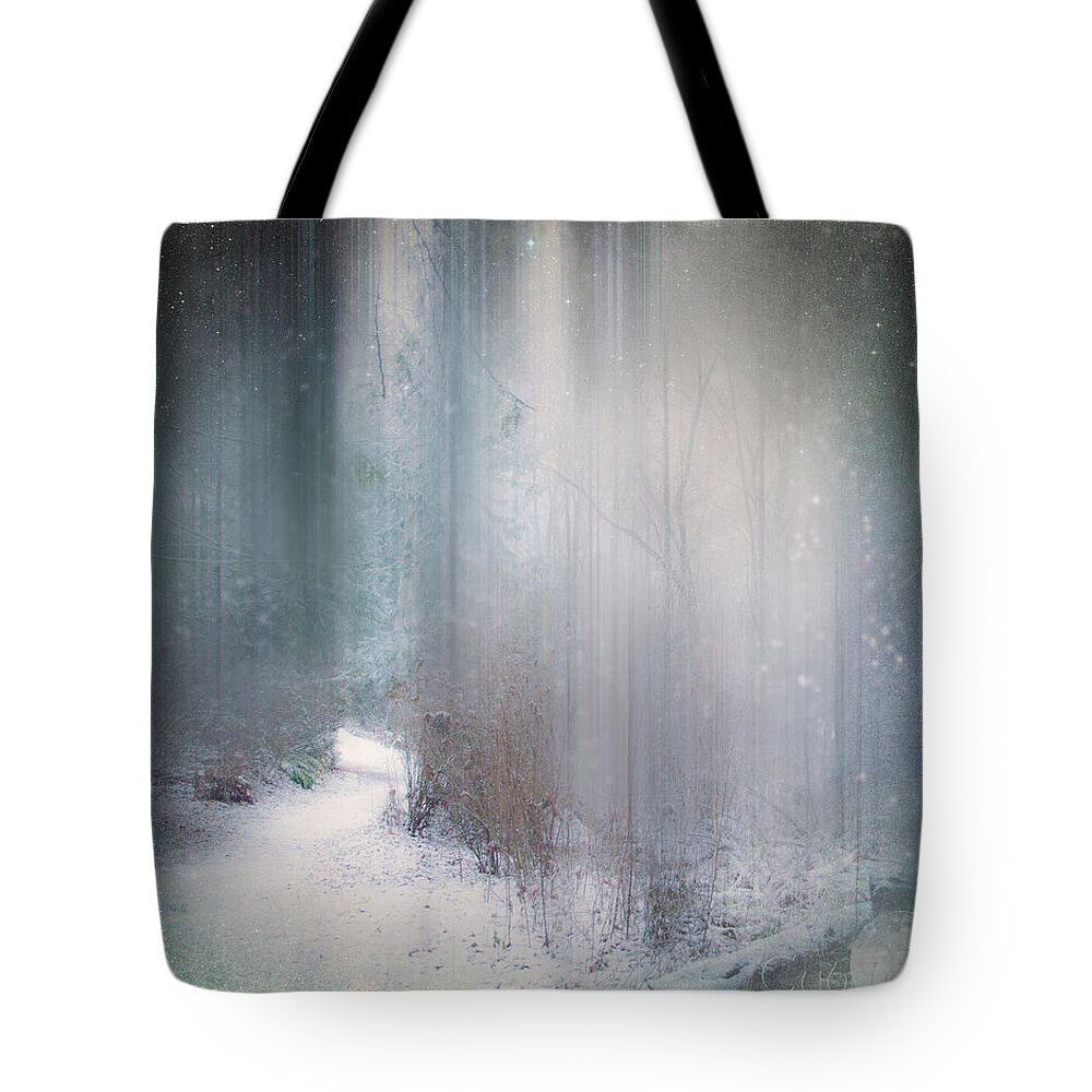  Tote Bag featuring the photograph Winter Path by Cybele Moon