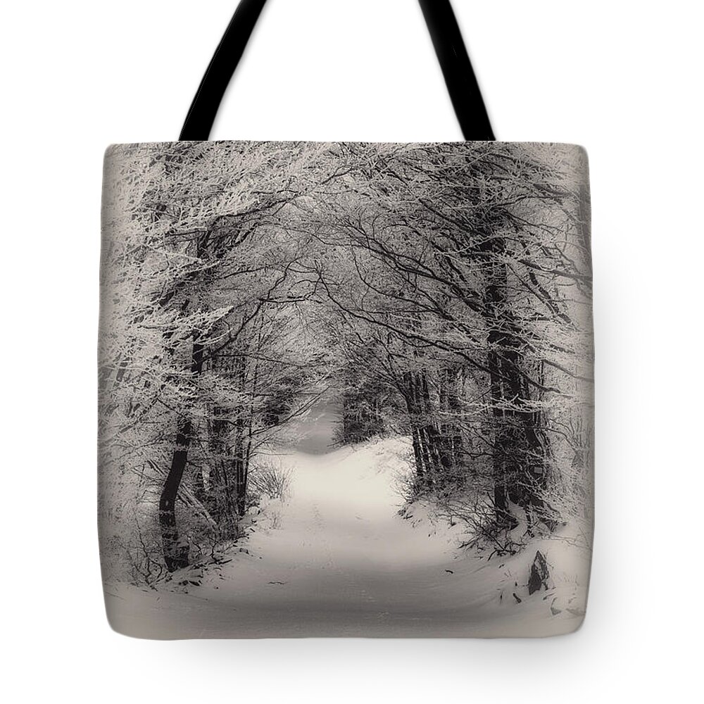 Trees Tote Bag featuring the photograph Winter #1 by Plamen Petkov