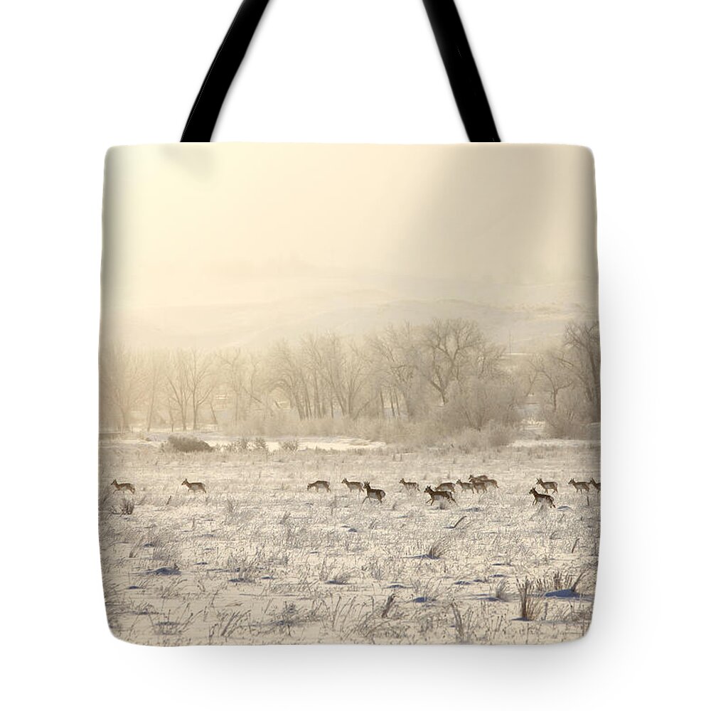 Horizontal Tote Bag featuring the photograph Winter Playground by Todd Klassy