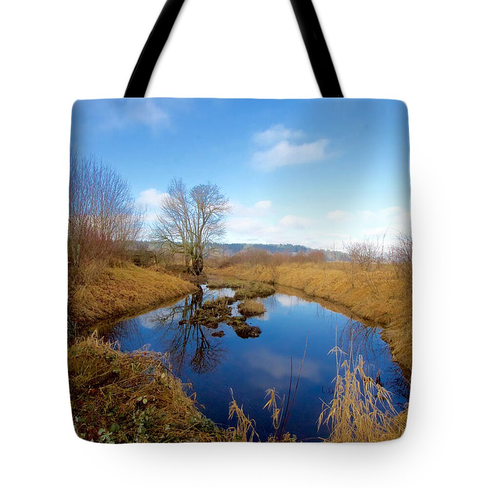 Photography Tote Bag featuring the photograph Winter Pond by Sean Griffin