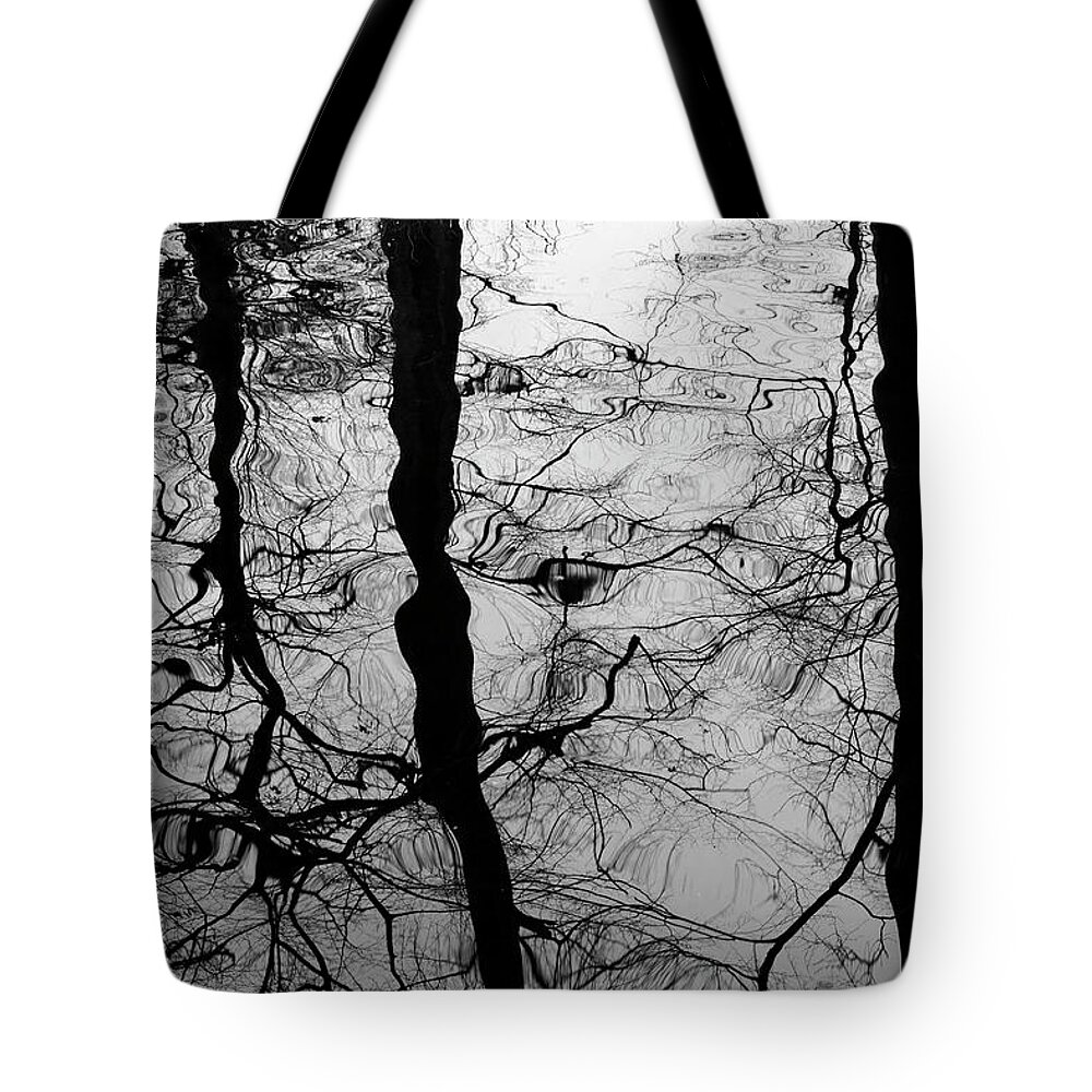 Winter Tote Bag featuring the photograph Winter Reflection by Inge Riis McDonald