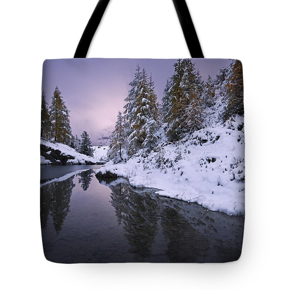 Sunset Tote Bag featuring the photograph Winter Reverie by Dominique Dubied