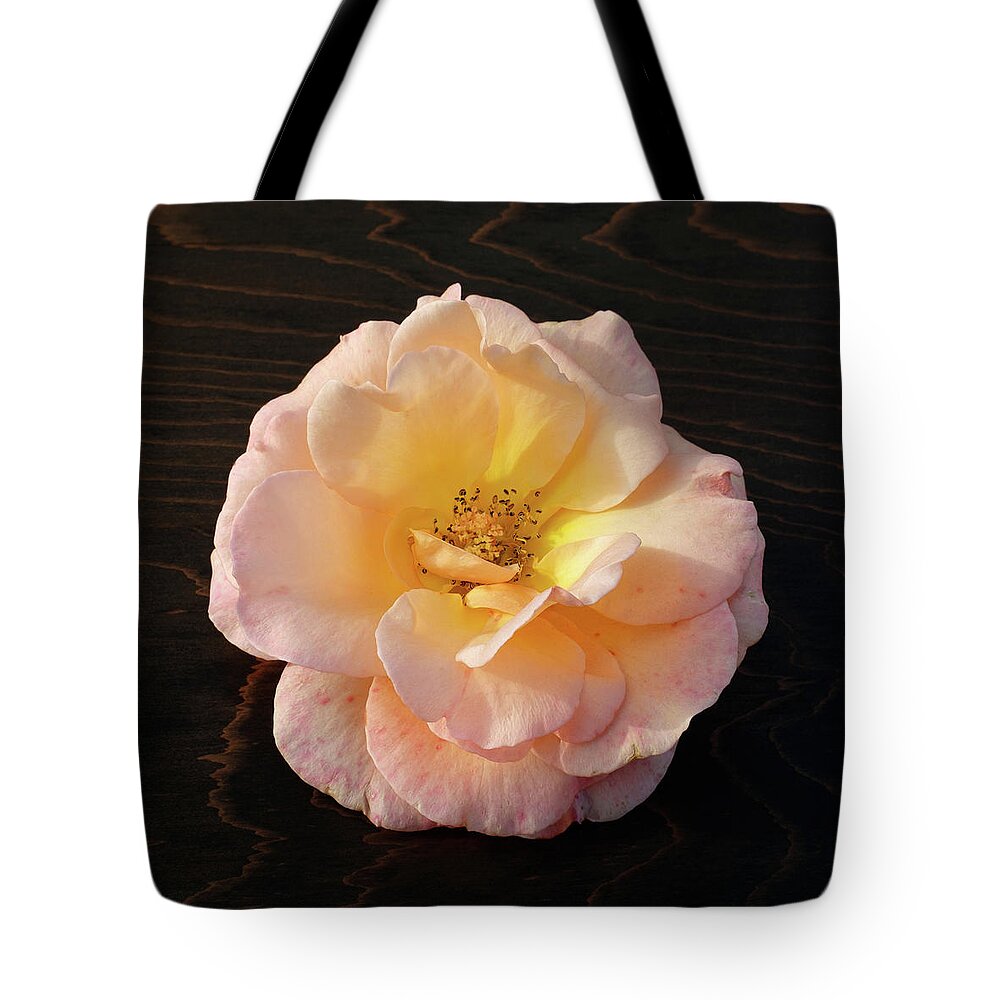 Winter Rose Tote Bag featuring the photograph Winter Salmon Rose on Antique Wood by Kathy Anselmo