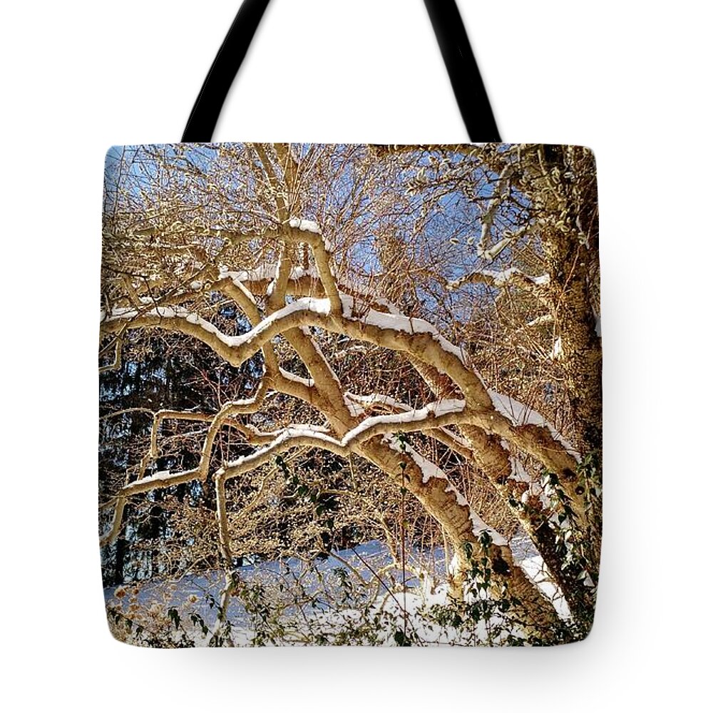Landscape Tote Bag featuring the photograph Winter Scene by Anita Adams