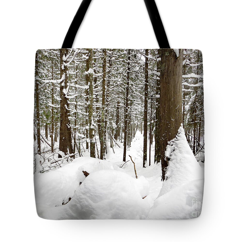 Winter Tote Bag featuring the photograph Winter Scene Print by Gwen Gibson