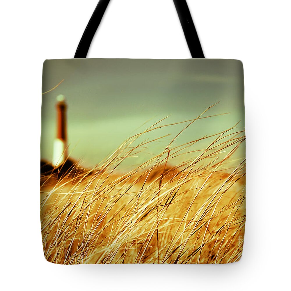Lighthouse Tote Bag featuring the photograph Winter Shore Breeze by Dana DiPasquale
