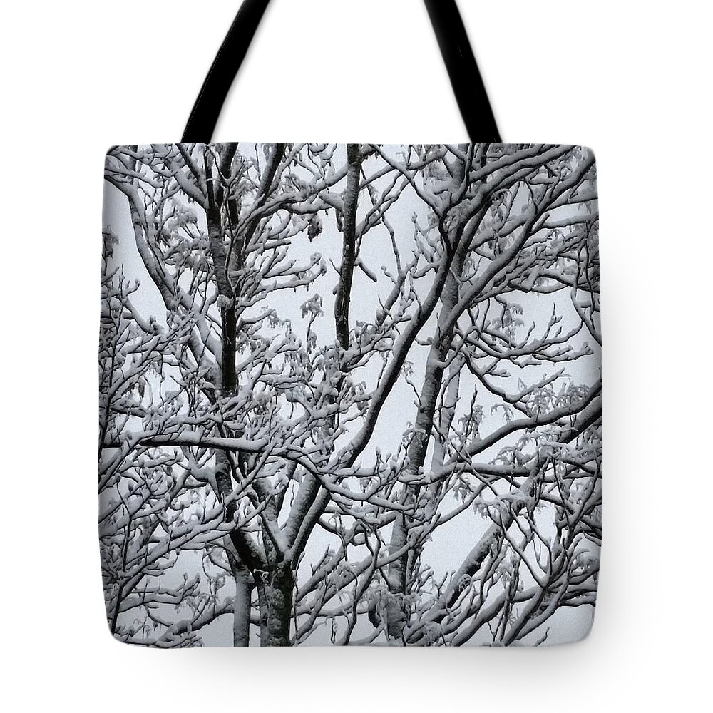 Ice Tote Bag featuring the photograph Winter Sky through Snow Branches by Vic Ritchey
