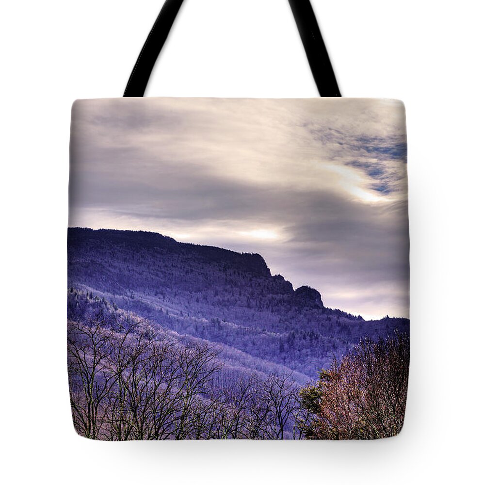 Winter Tote Bag featuring the photograph Winter's Sleep by Dale R Carlson
