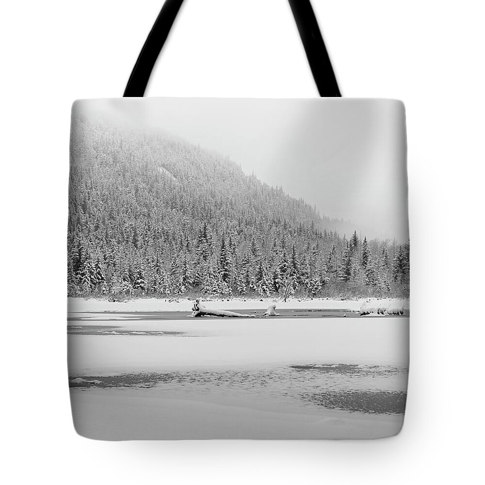 Alaska Tote Bag featuring the photograph Winter Snow by Scott Slone