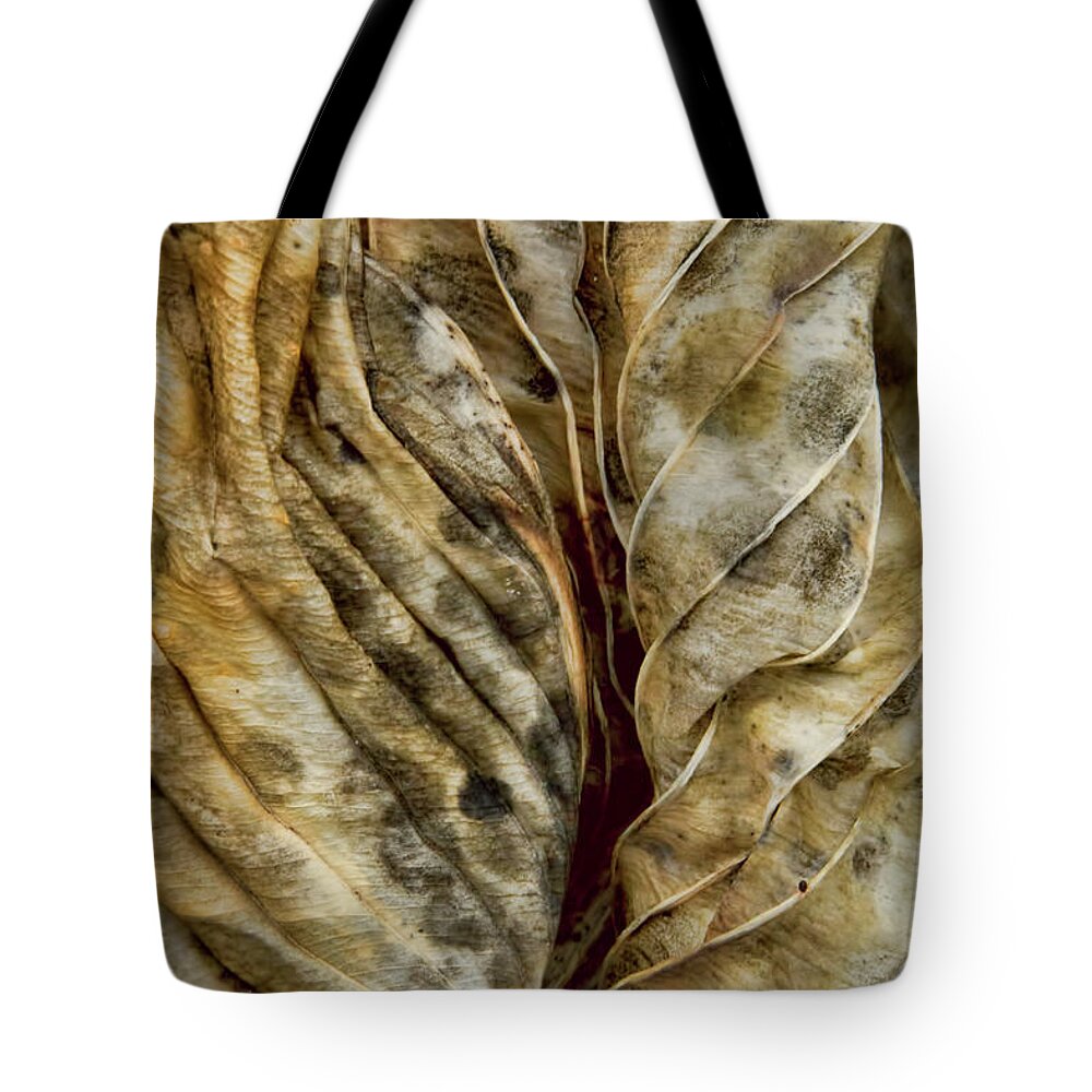 Abstracts Tote Bag featuring the photograph Winter Song by Marilyn Cornwell