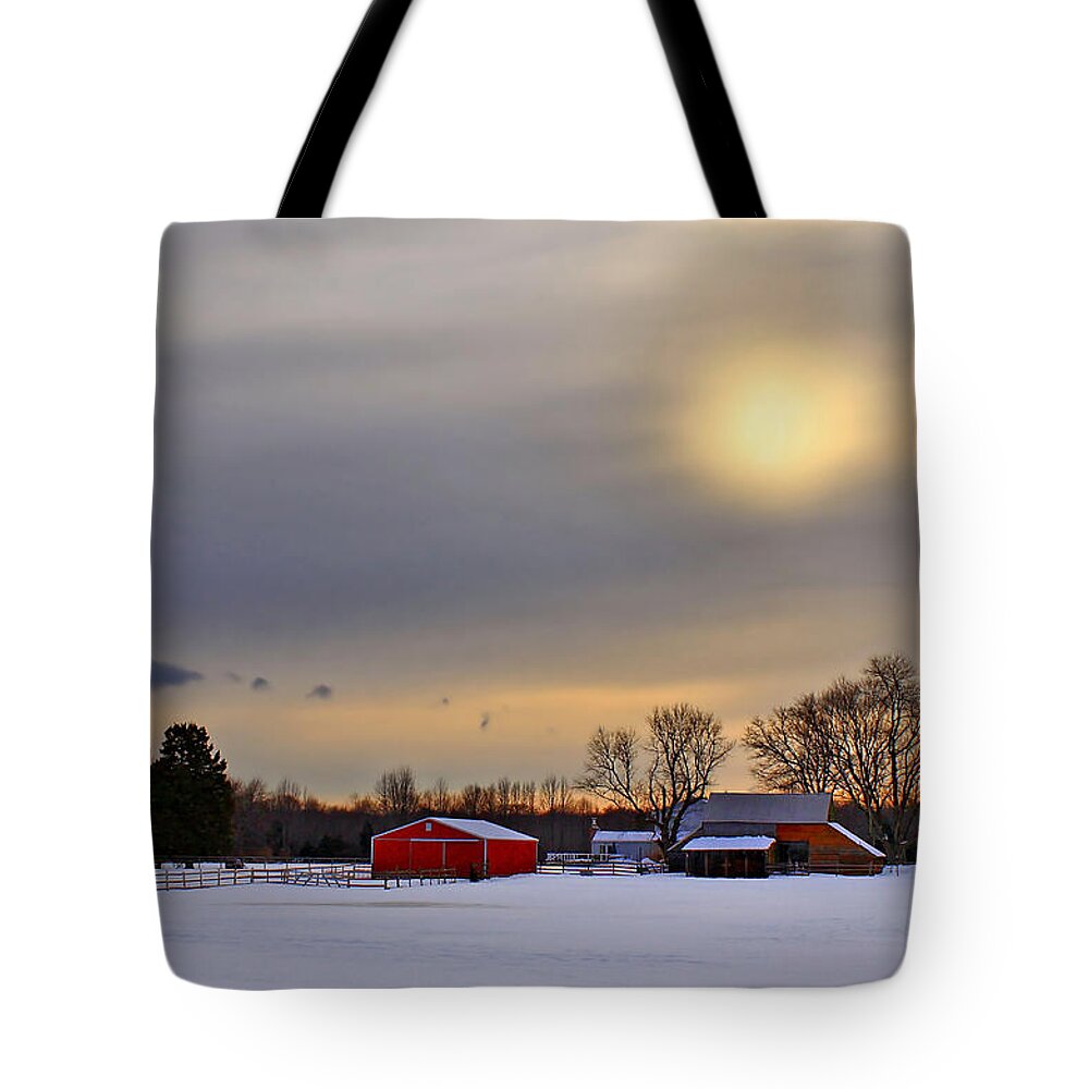 Barn Tote Bag featuring the photograph Winter Sun by Evelina Kremsdorf