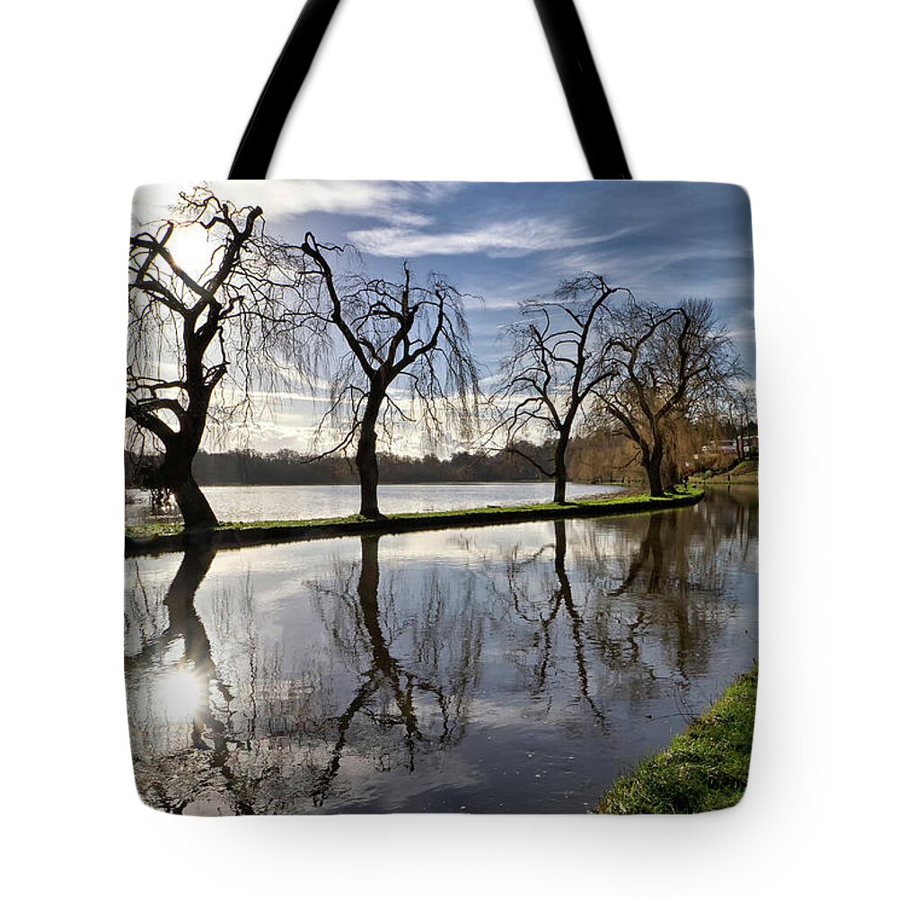 Shirley Mitchell Tote Bag featuring the photograph Winter Sun by Shirley Mitchell