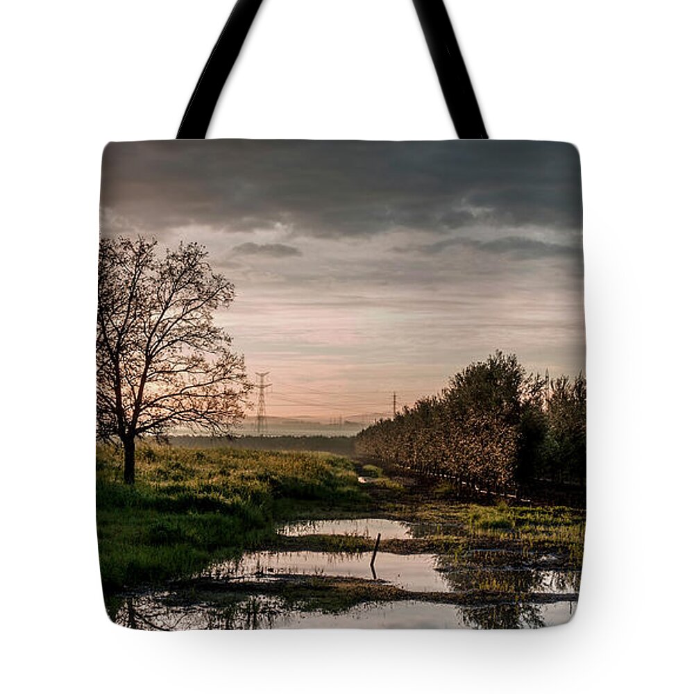 Sunrise Tote Bag featuring the photograph Winter sunrise by Arik Baltinester