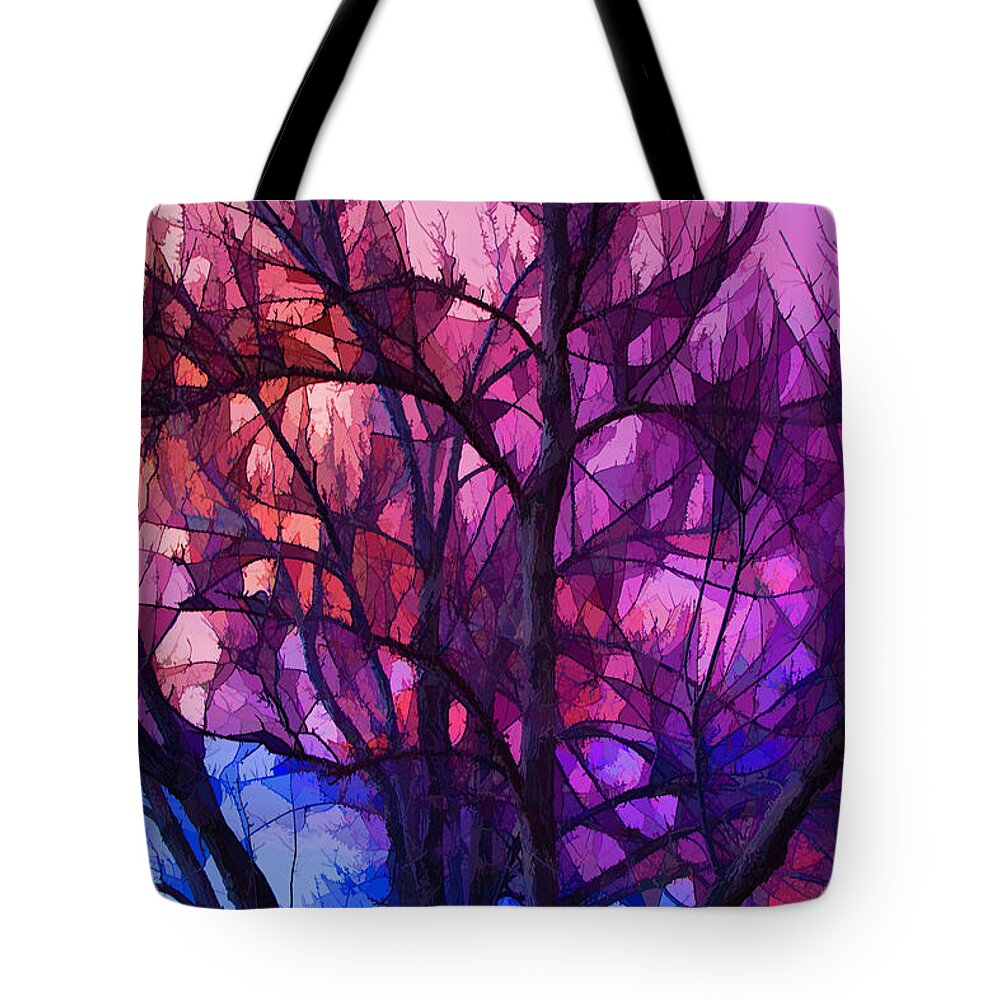 Sunset Tote Bag featuring the photograph Winter Sunset by Lorraine Baum