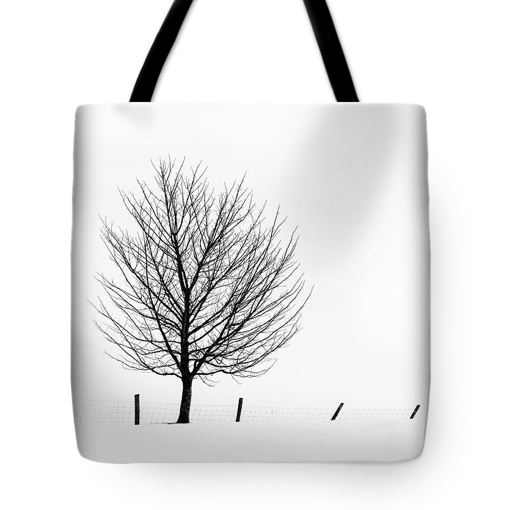 Lone Tree Tote Bag featuring the photograph Winter Tracery by Janet Burdon