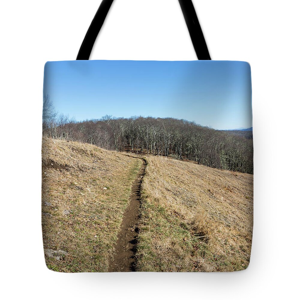 Empty Tote Bag featuring the photograph Winter Trail - December 7, 2016 by D K Wall