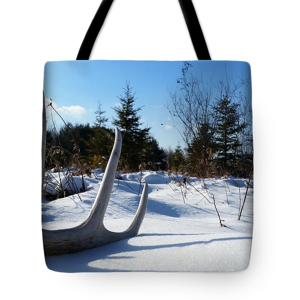 Shed Antler Tote Bag featuring the photograph Winter Treasure by Brook Burling