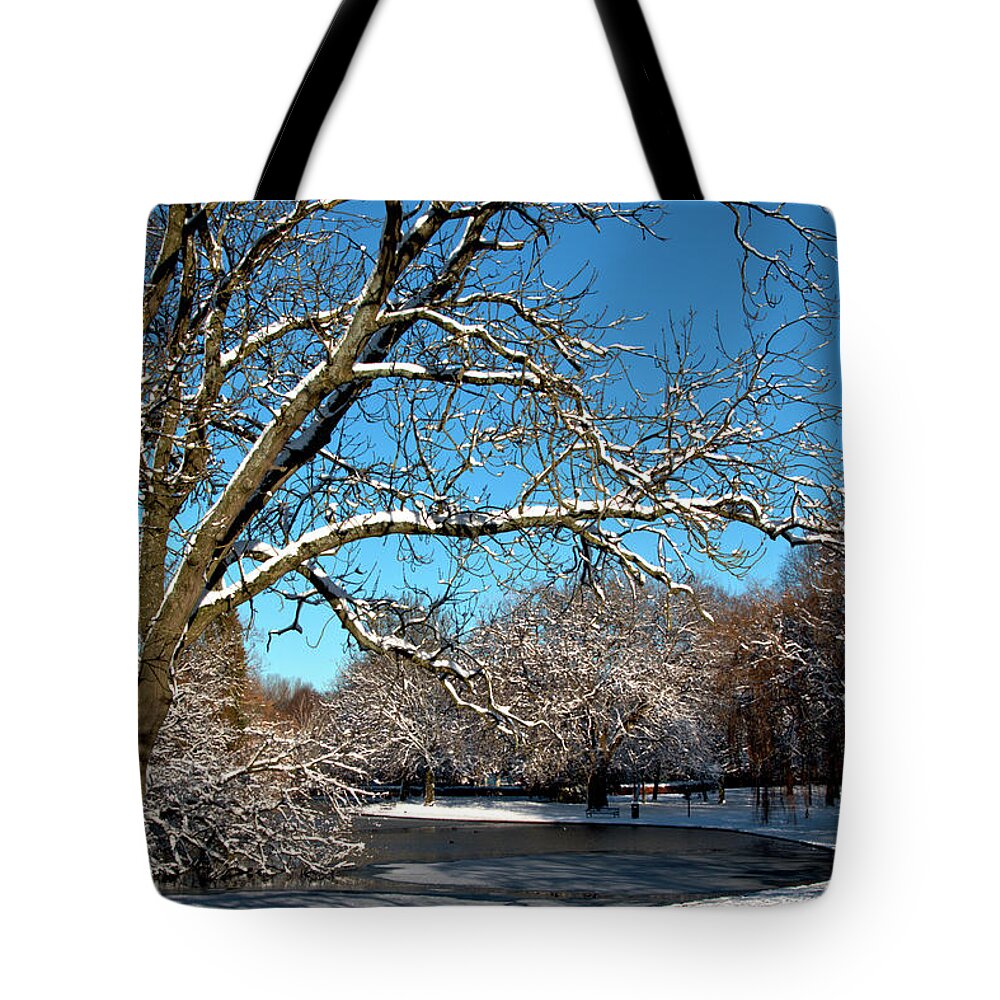 Winter Tote Bag featuring the photograph Winter Tree by Baggieoldboy