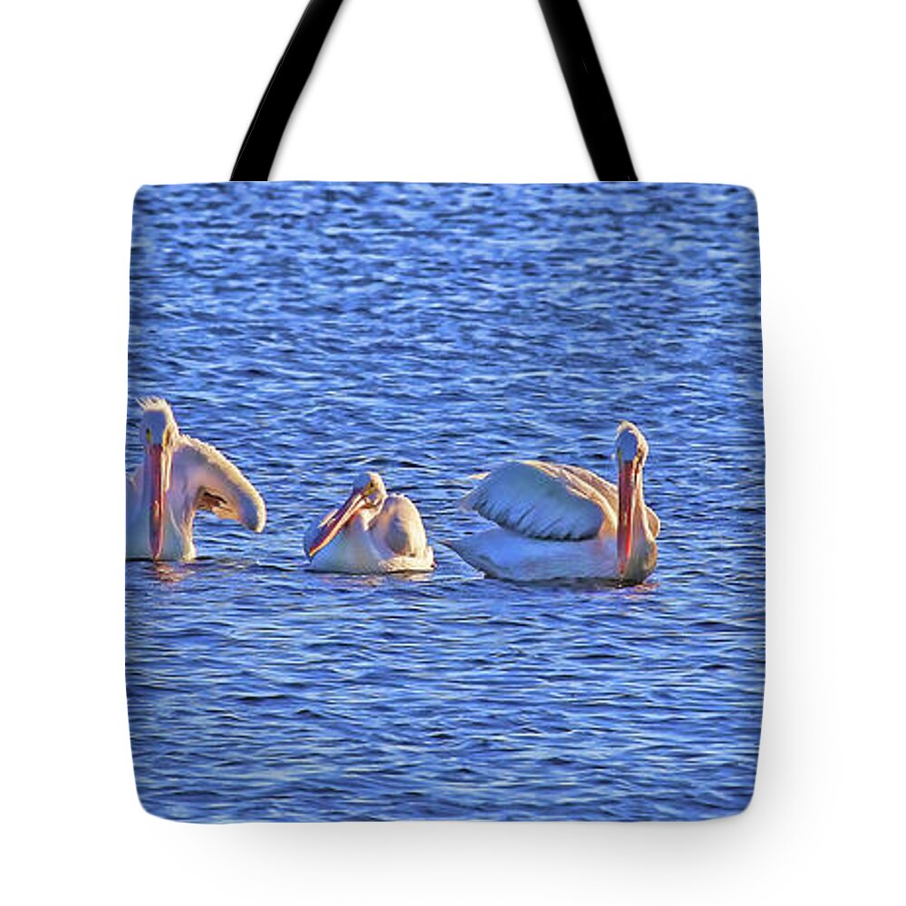 Pelecanus Erythrorhynchos Tote Bag featuring the photograph Winter Visitors 2 by HH Photography of Florida