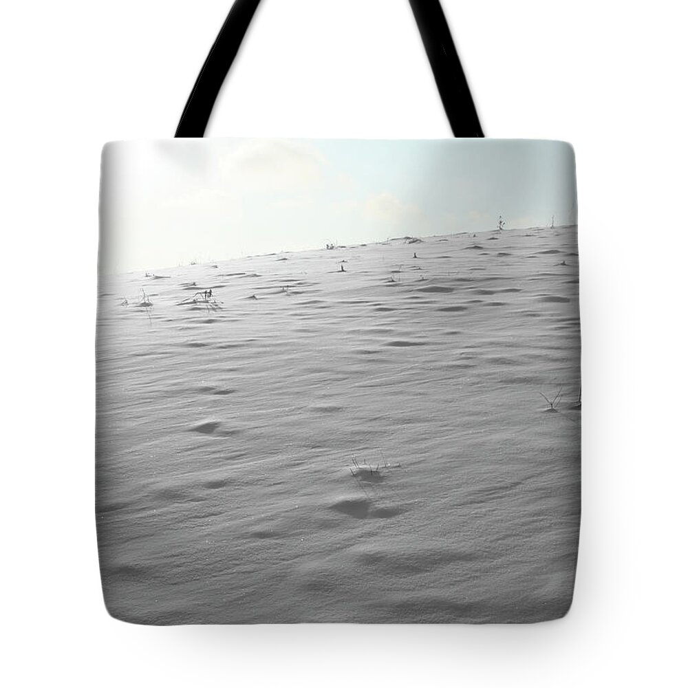 Color Desaturation Tote Bag featuring the photograph Winter Warmth by Dylan Punke
