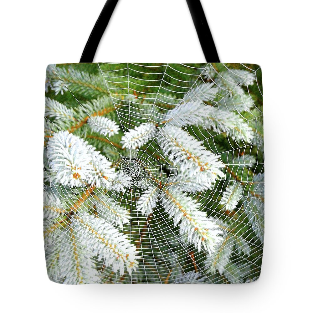 Web Tote Bag featuring the photograph Winter Web by Norma Warden