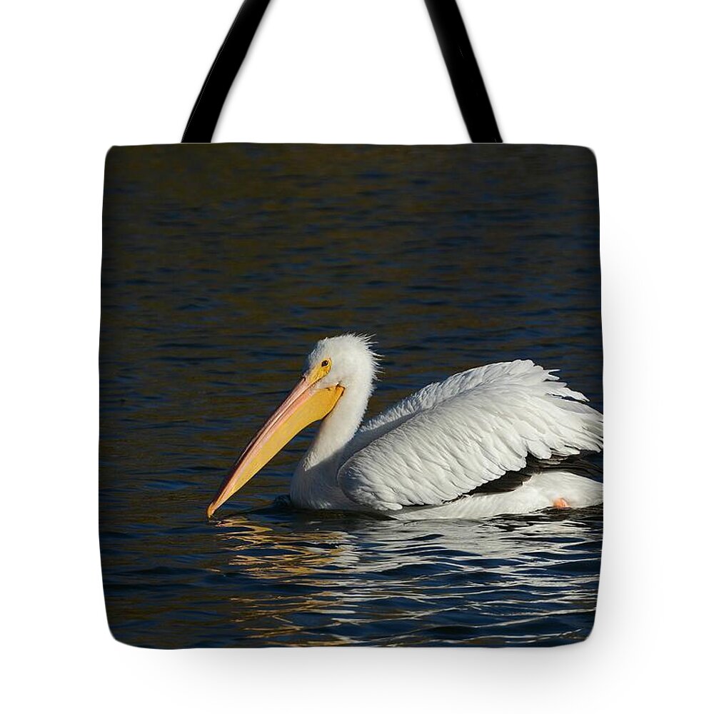 American White Pelican Tote Bag featuring the photograph Winter White by Fraida Gutovich