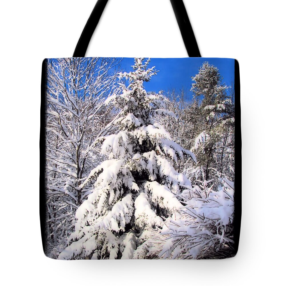 Snow Tote Bag featuring the photograph Winter Wonderland by Elizabeth Dow