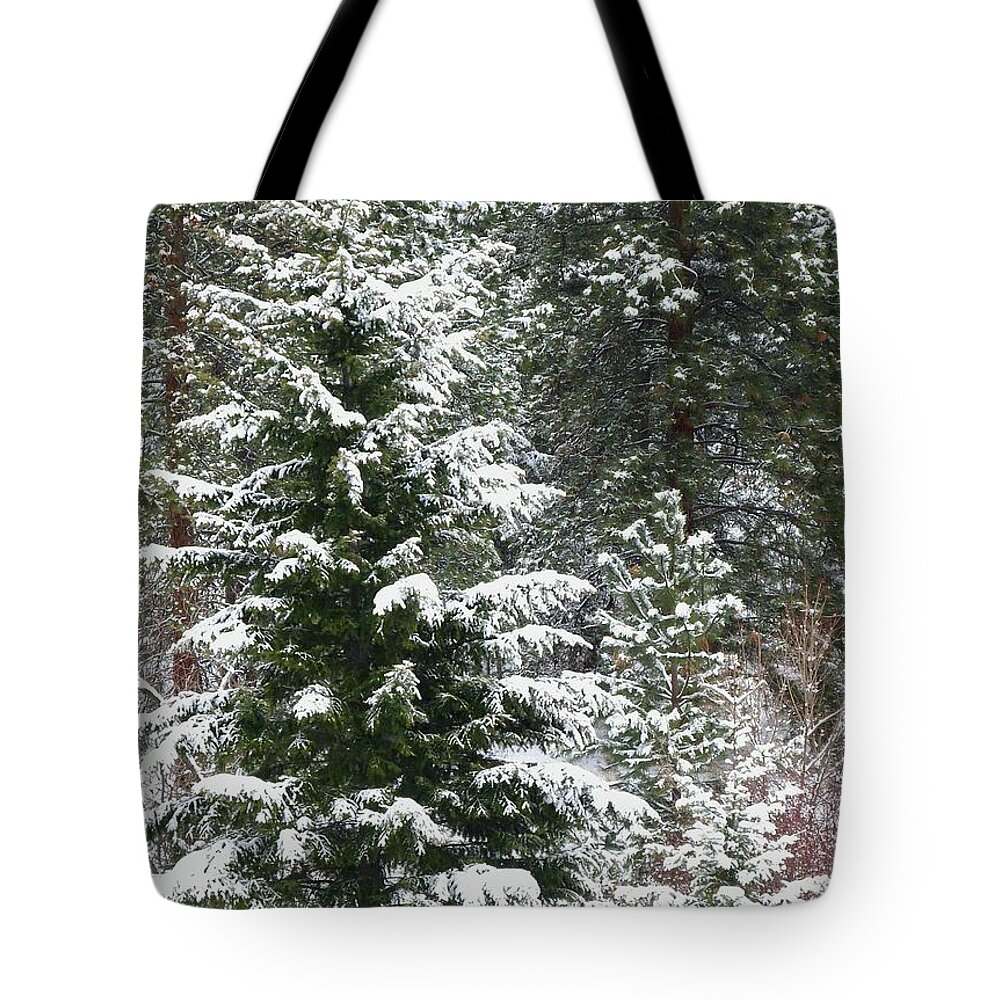 Winter Woodland Tote Bag featuring the photograph Winter Woodland by Will Borden
