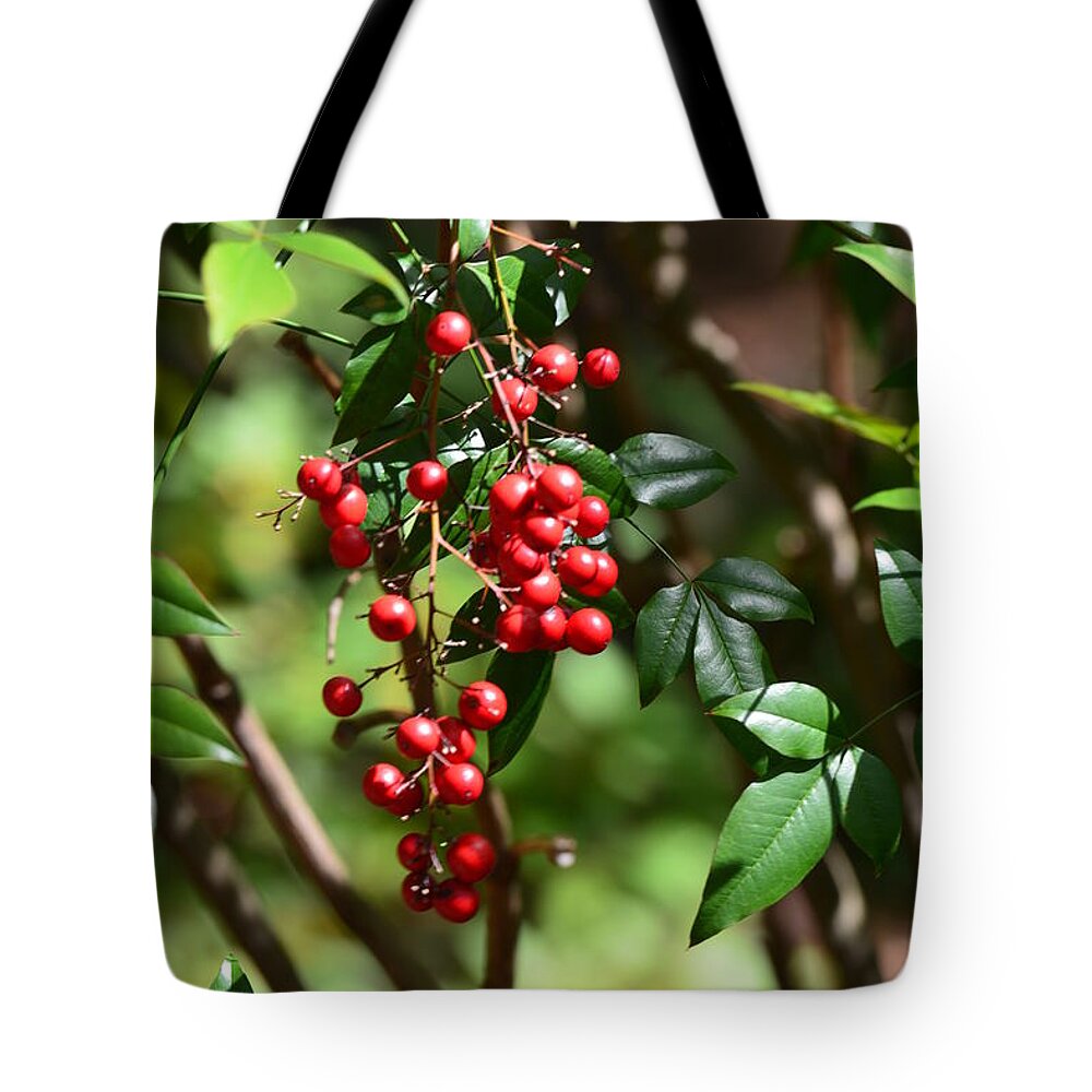 Red Berries Tote Bag featuring the photograph Winterberry by Maria Urso