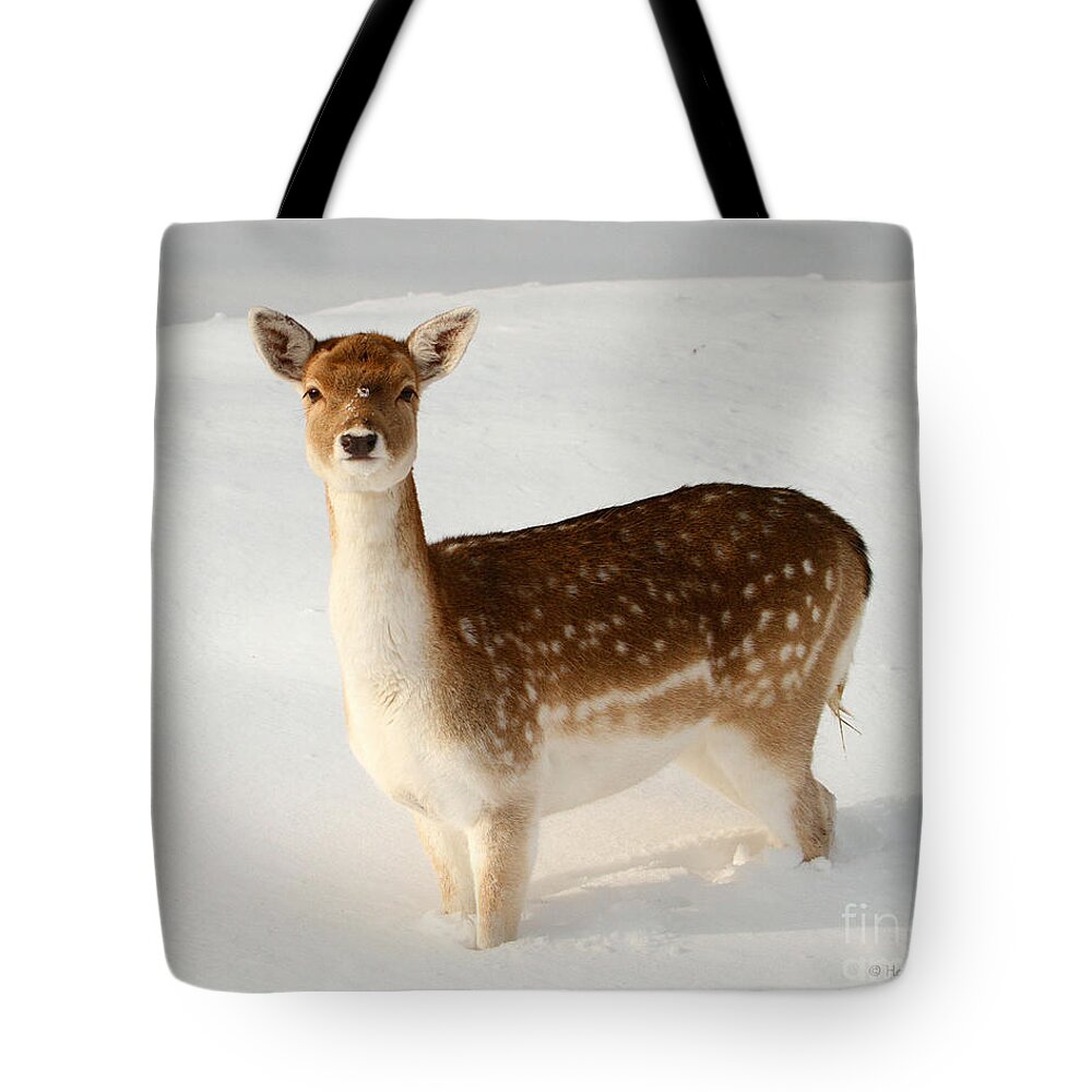 Deer Tote Bag featuring the photograph Winter's Beauty by Heather King