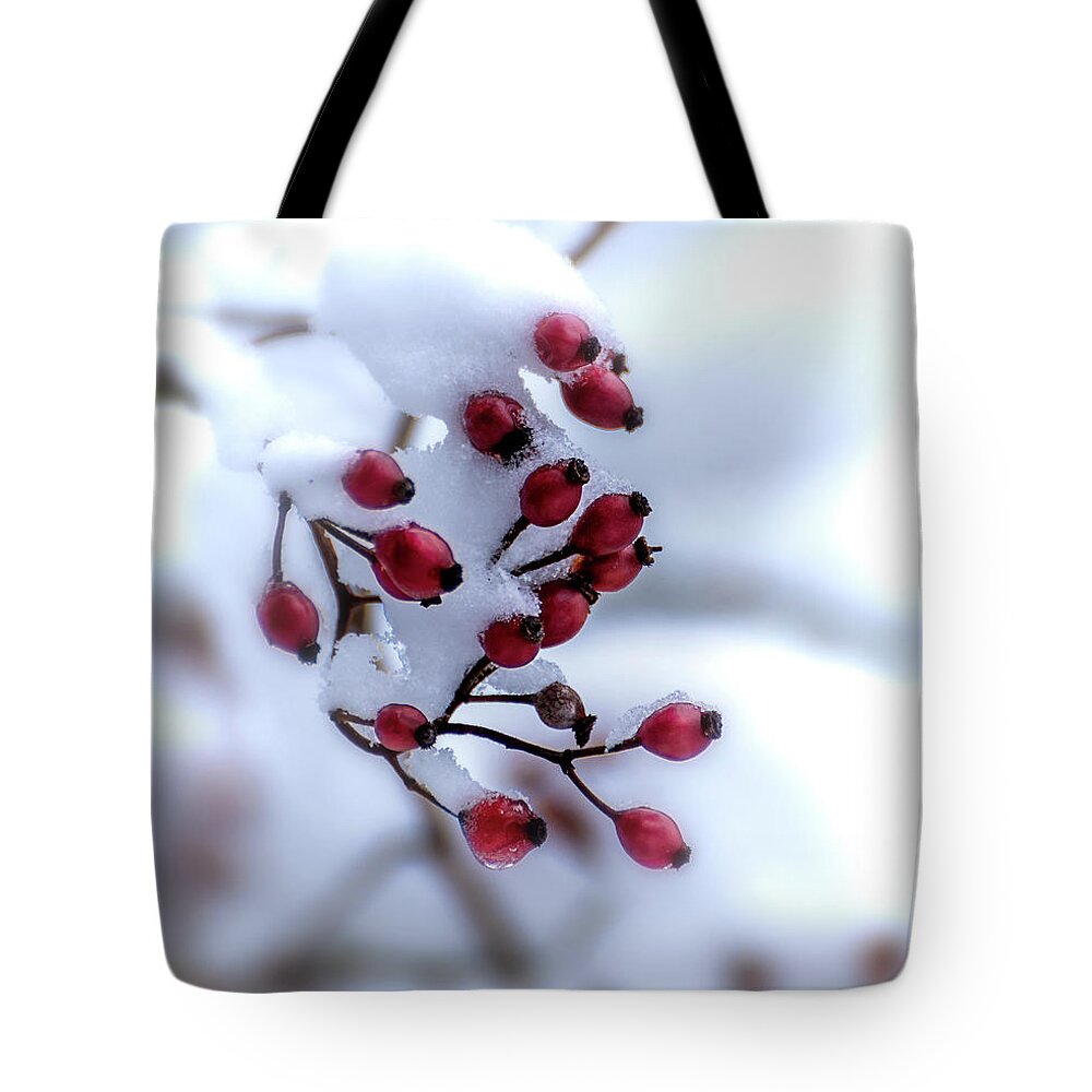 Red Tote Bag featuring the photograph Winter's Color by Joann Long