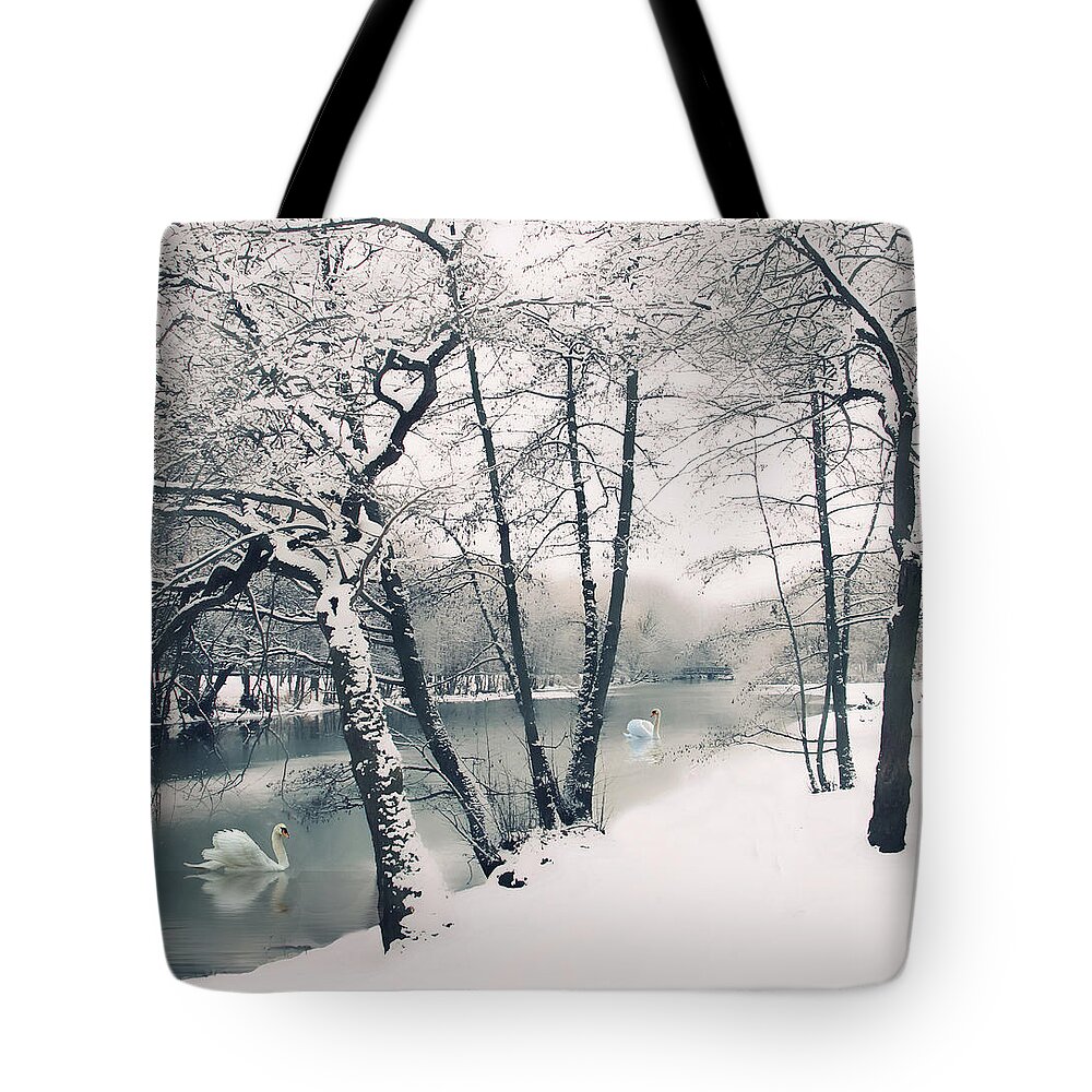 Winter Tote Bag featuring the photograph Winter's Grace by Jessica Jenney