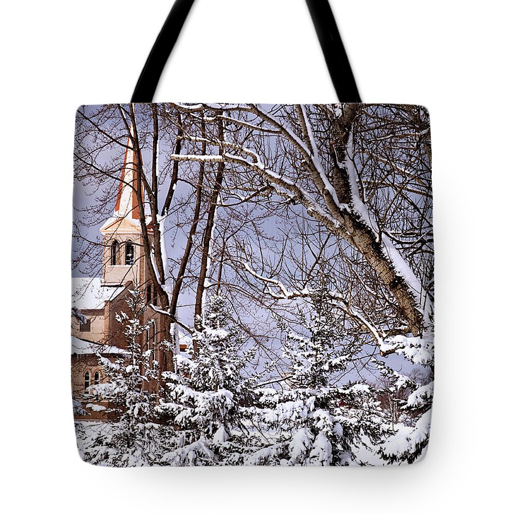Dexter Tote Bag featuring the photograph Winters Peace by Jill Love
