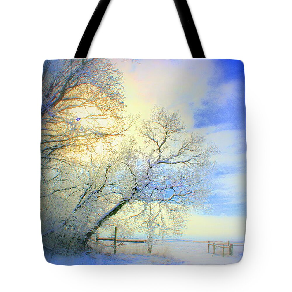 Snowy Sunday Tote Bag featuring the photograph Winters Pretty Presents by Julie Lueders 